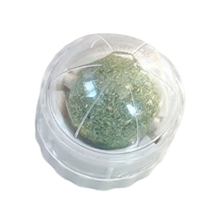 كات نب تعليق 