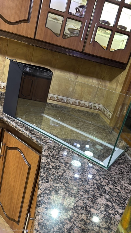 حوض سمك مع سامب 