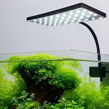 Aquarium Light (12W)