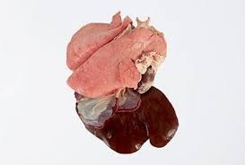 احشاء الخاروف كبده   طحل