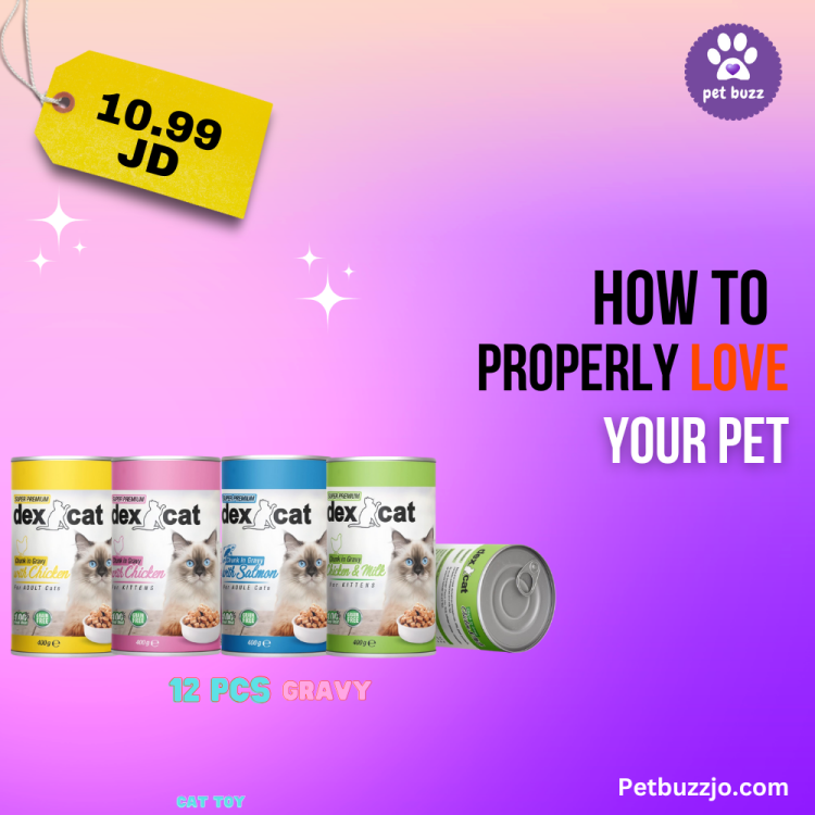 DEX CAT WET FOOD GRAVY OFFER