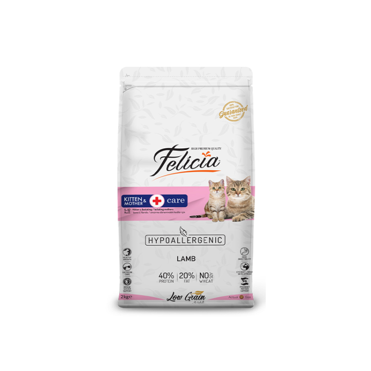 فيليسيا طعام جاف للقطط الصغيرة والأم المرضعة