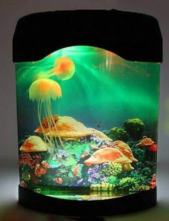 حوض "فايتر " مضيء