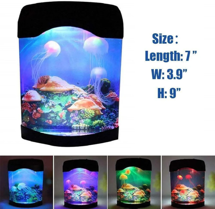 حوض "فايتر " مضيء