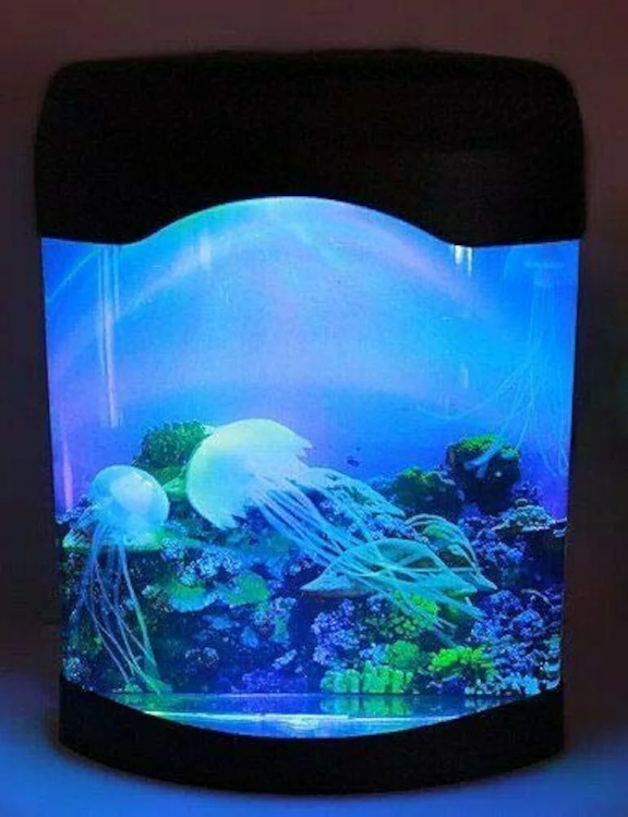 حوض "فايتر " مضيء