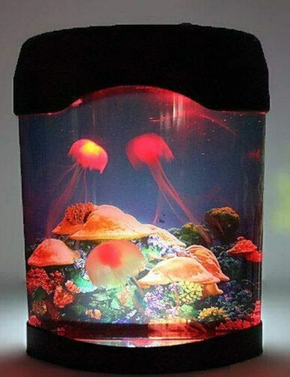 حوض "فايتر " مضيء