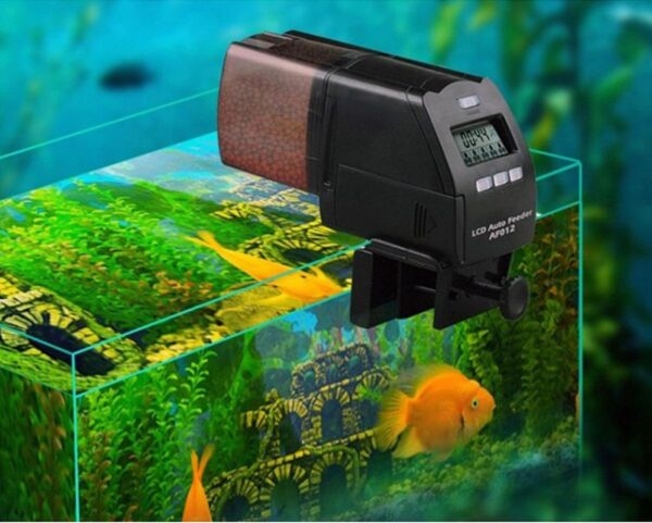 جهاز التغذية الذاتيه من Dophin