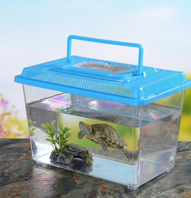 حوض للسلاحف 