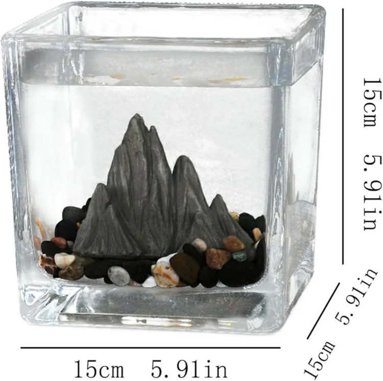 حوض كريستال أنيق