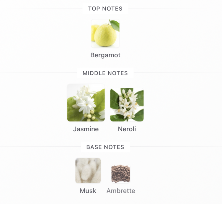 Prada Paradoxe Virtual Flower