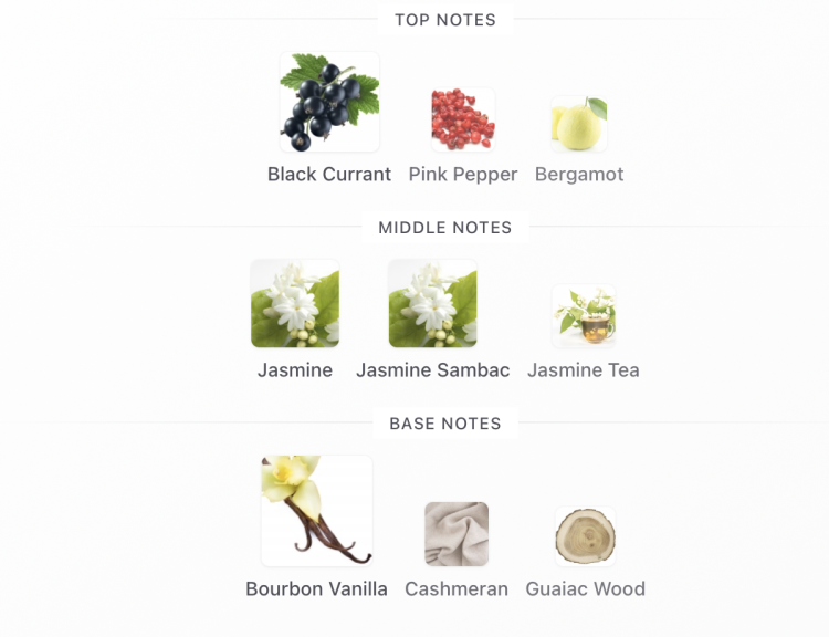 Valentino Donna Born In Roma