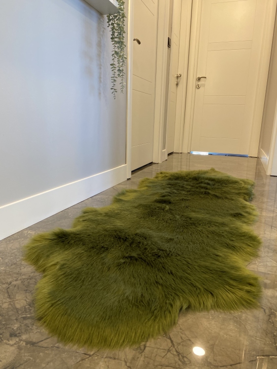 Shaggy green rug