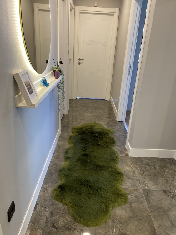 Shaggy green rug
