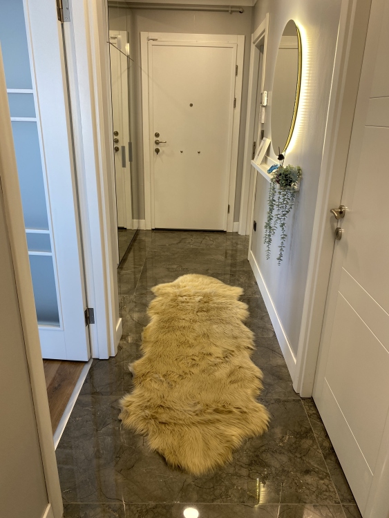 Shaggy gold beige rug