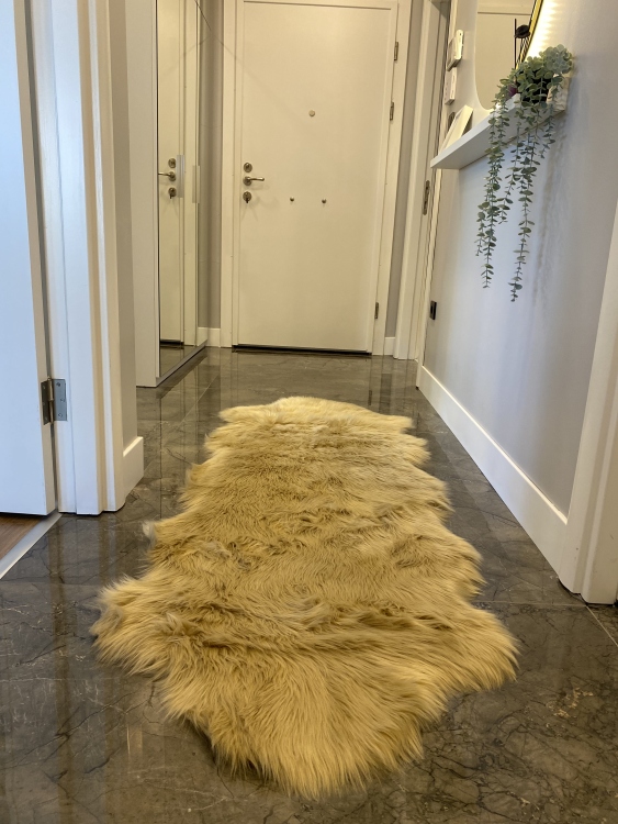 Shaggy gold beige rug