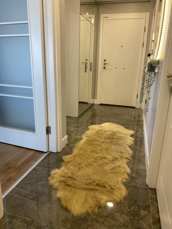 Shaggy gold beige rug
