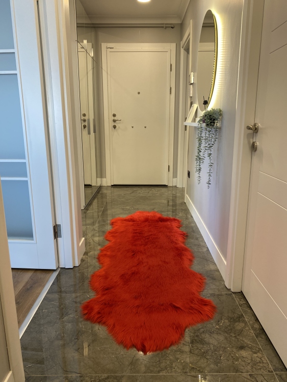 Shaggy red rug