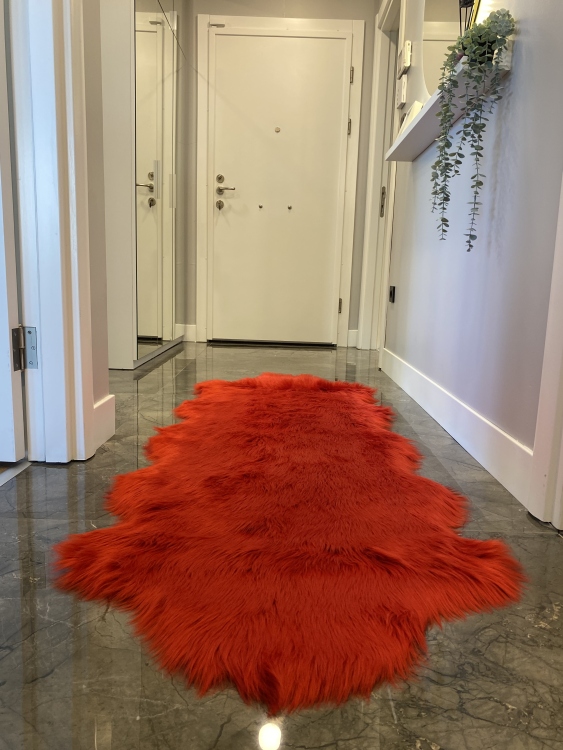 Shaggy red rug