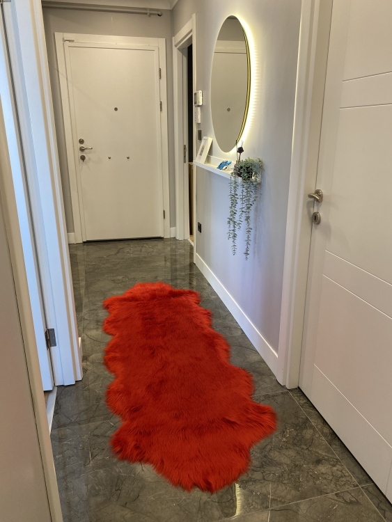 Shaggy red rug