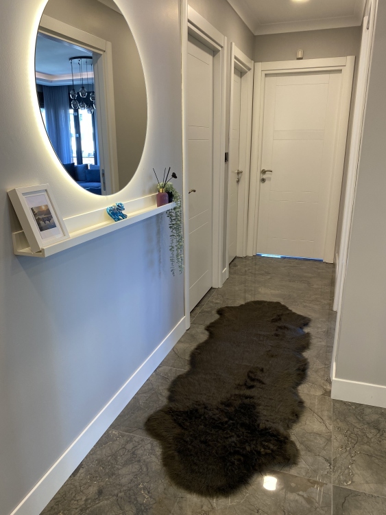 Shaggy brown rug