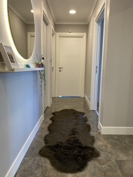 Shaggy brown rug