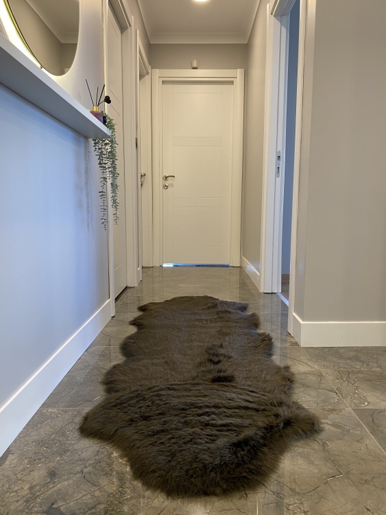 Shaggy brown rug