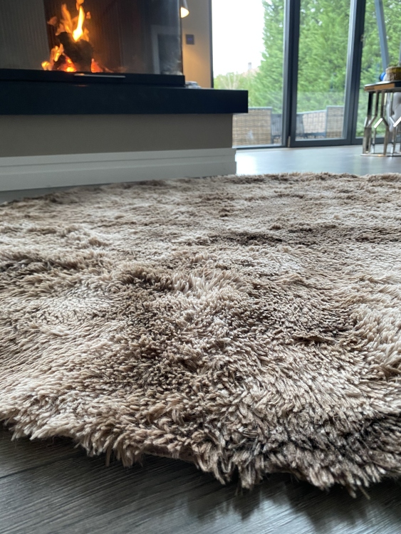 Shaggy brown rug