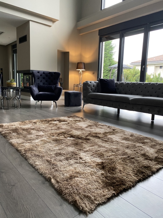 Shaggy brown rug