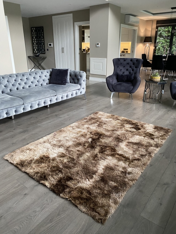Shaggy brown rug