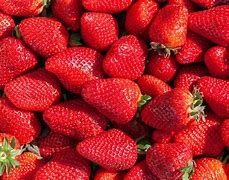 فراولة بالشرحة