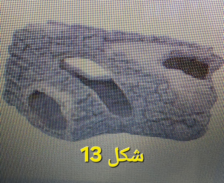 ديكورات  جذابة لحوض مميز