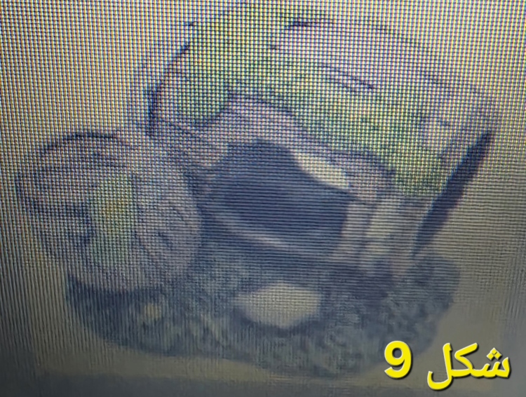 ديكورات  جذابة لحوض مميز