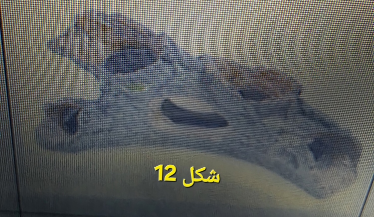 ديكورات  جذابة لحوض مميز