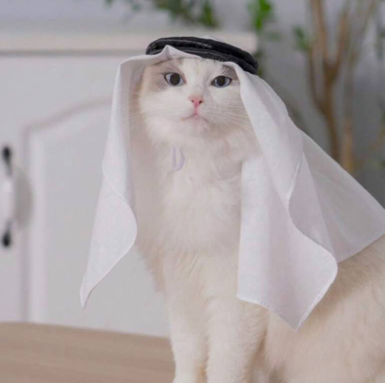 شماغ وعقال أنيق للقطط - تصميم تراثي