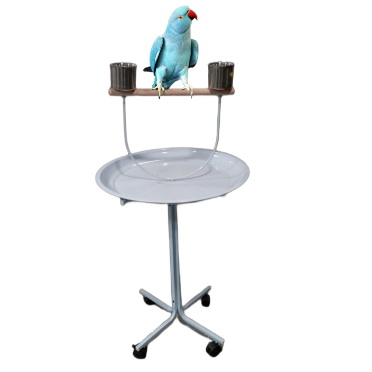 ستاند ببغاءات