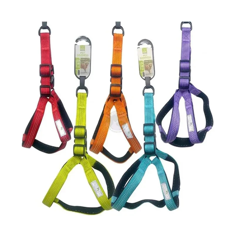  حزام مشي للكلاب - نايلون قابل للتعديل بألوان متعددة