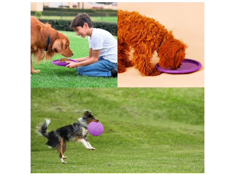 قرص طائر "Dog-O-Soar" للكلاب - مطاط طبيعي ناعم.