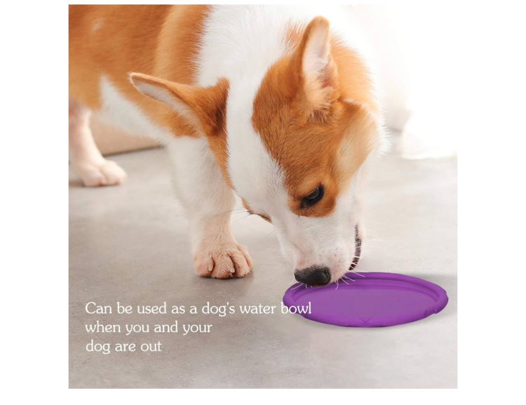 قرص طائر "Dog-O-Soar" للكلاب - مطاط طبيعي ناعم.