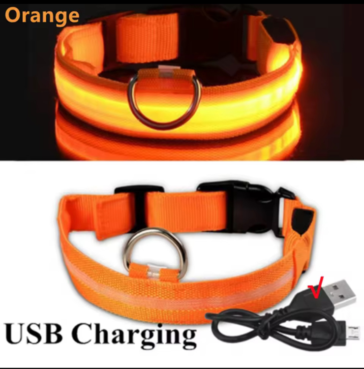 طوق كلاب LED مضيء قابل لإعادة الشحن عبر USB – للأمان الليلي