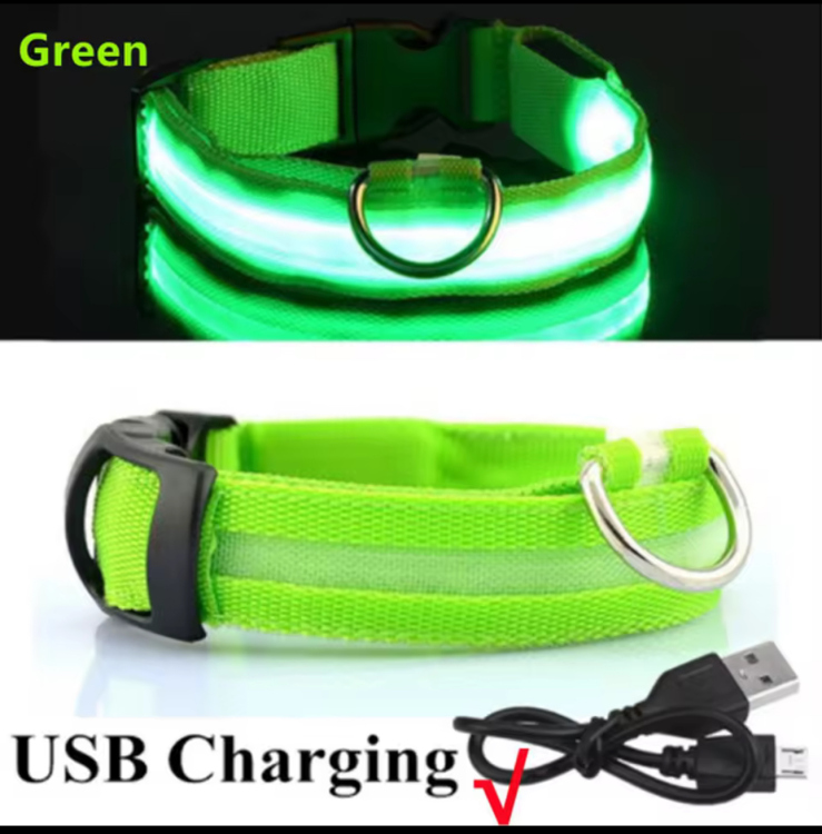 طوق كلاب LED مضيء قابل لإعادة الشحن عبر USB – للأمان الليلي
