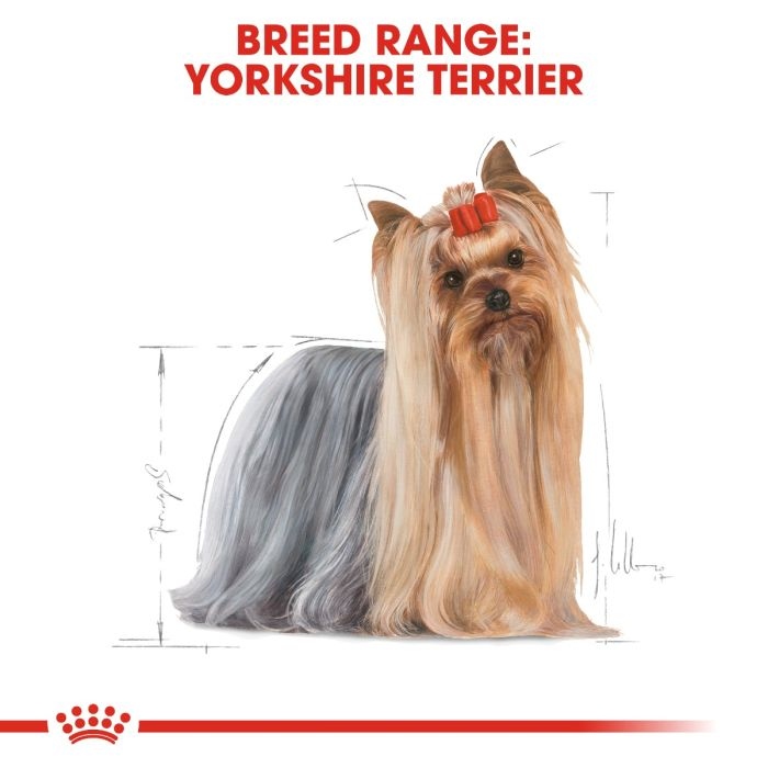 royal canin yorkshire puppy 1.5kg ( with 1 wet food pouch )