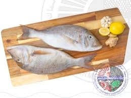 سمك نقرور طازج