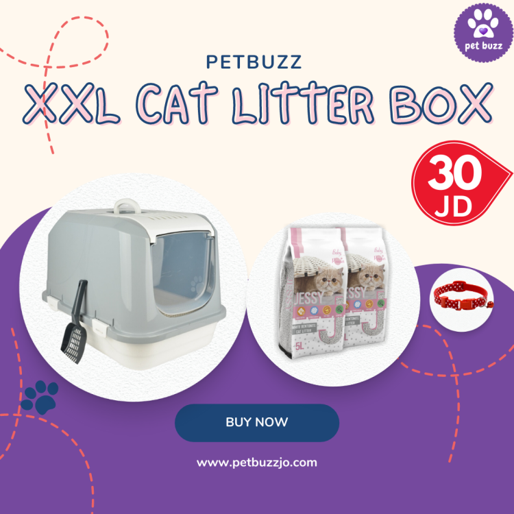 XXL LITTER BOX OFFER  68cm