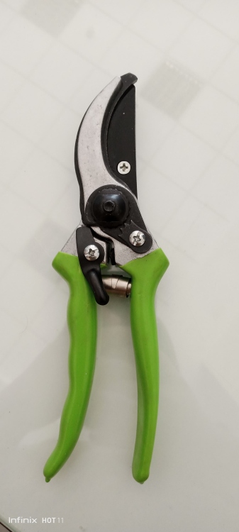 مقص شجر لون اخضر 