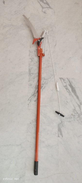 مقص شجر منشار يد طويل 