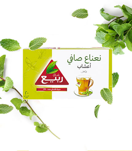  الربيع نعنع 20م+ كركدية 20م