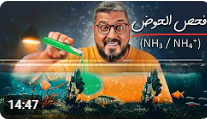 الفحوصات الأساسية للمبتدئين