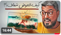سر الماء الكريستال !!