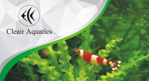 حوض كريستال ذكي من الشركة البريطانية  Clear Aquatics