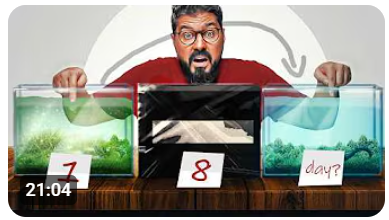 الطحالب .. وطرق حلها 